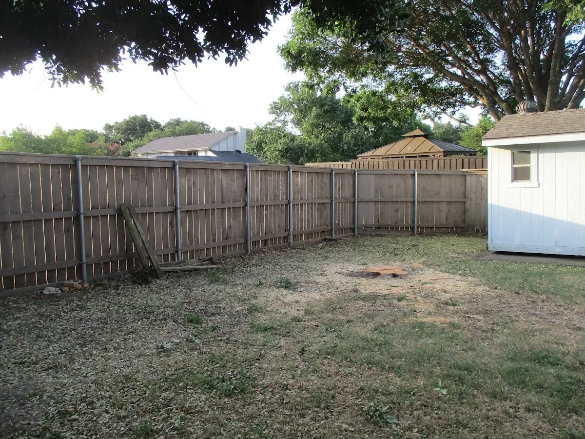 Cleared yard after professional tree removal in Hansboro